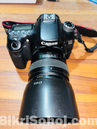 Canon 70d with 85mm usm prime lens